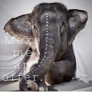🐘 Make me an offer. 🐘